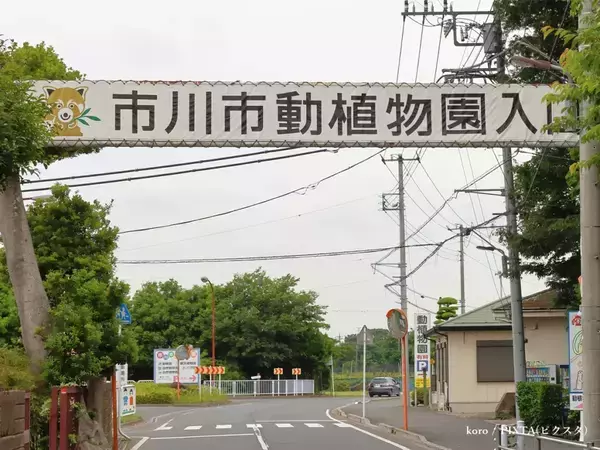 パンチくん見に来た客へ、園が注意喚起　一部客に対して「身勝手すぎ」「恥ずかしくないのかな」