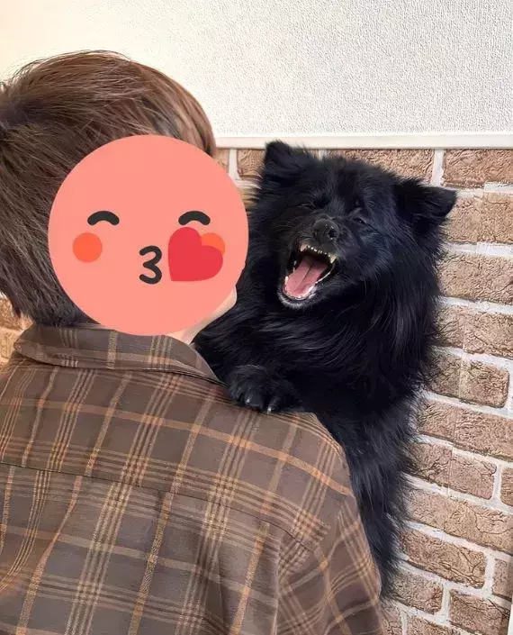 「そこまで嫌がらなくても…」　キスを拒む犬の顔に「別の犬かと思った」「ドンマイすぎる」