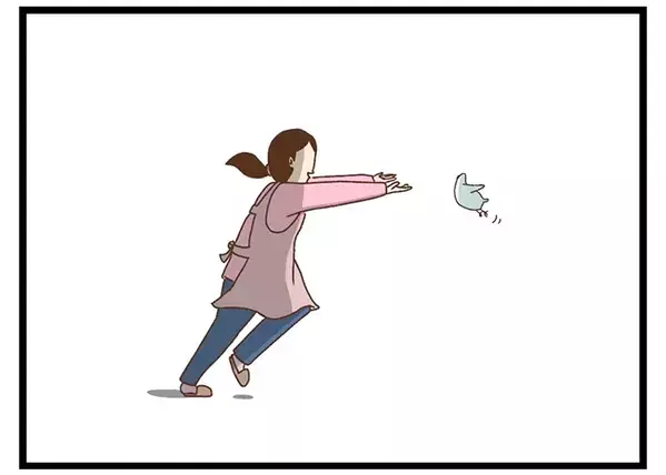 感動の再会？　インコが飛んで行った先には…「声出して笑った」「そっちかーい」