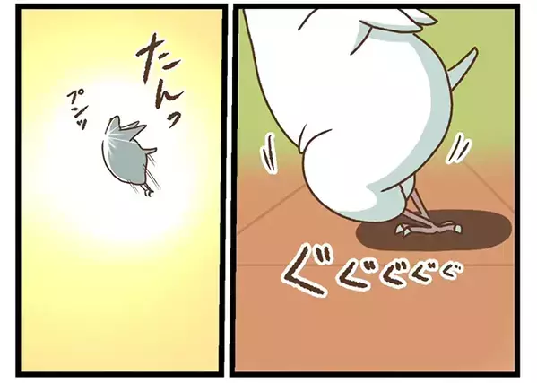 感動の再会？　インコが飛んで行った先には…「声出して笑った」「そっちかーい」