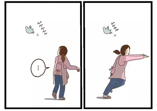 感動の再会？　インコが飛んで行った先には…「声出して笑った」「そっちかーい」