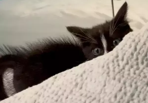 事故で入院した男性　バイク運転中の出来事に「涙が出たよ」「きみは選ばれた」