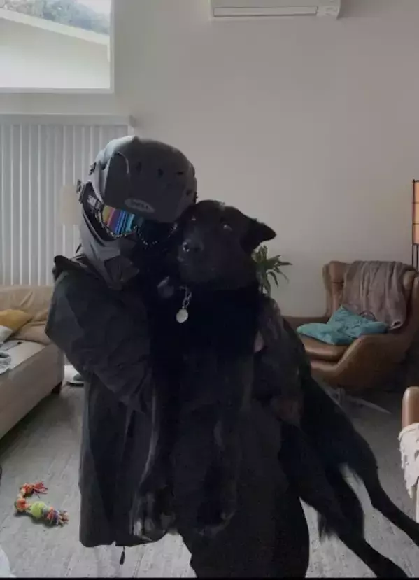 事故で入院した男性　バイク運転中の出来事に「涙が出たよ」「きみは選ばれた」