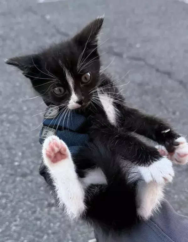 事故で入院した男性　バイク運転中の出来事に「涙が出たよ」「きみは選ばれた」