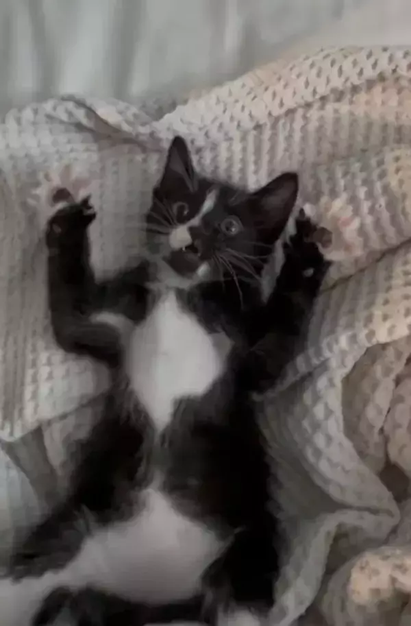 事故で入院した男性　バイク運転中の出来事に「涙が出たよ」「きみは選ばれた」