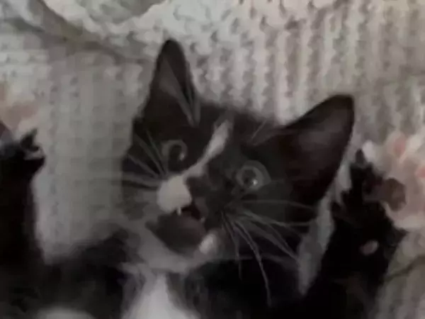 事故で入院した男性　バイク運転中の出来事に「涙が出たよ」「きみは選ばれた」