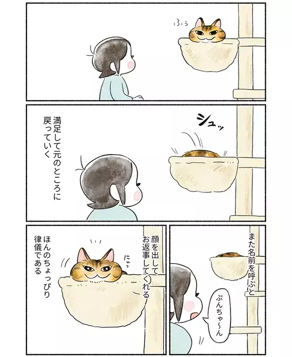飼い主「引きこもり猫」　ハンモックつきのキャットタワーを買ったら…？