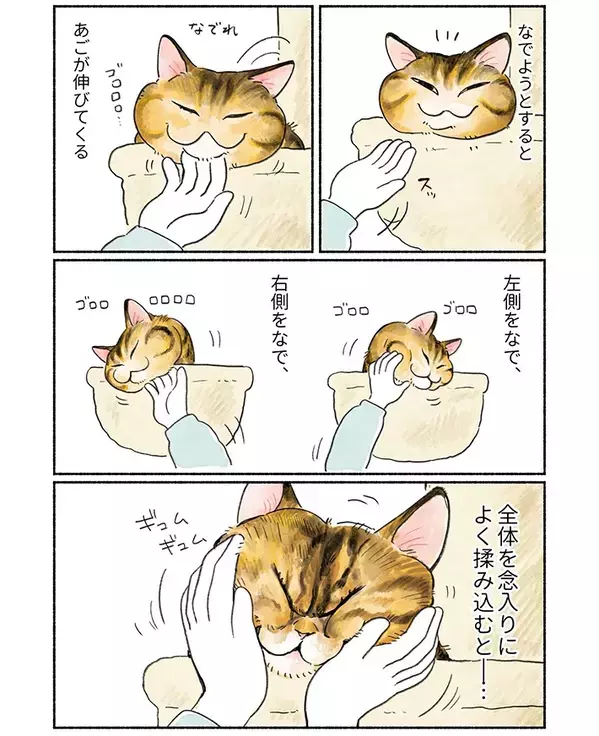 飼い主「引きこもり猫」　ハンモックつきのキャットタワーを買ったら…？
