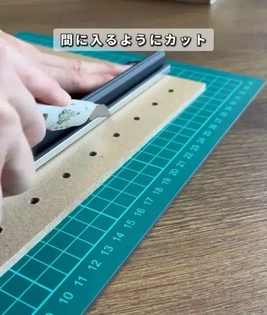 100均のパネルとネットを繋ぐと？　意外な使い道に「この発想はなかった！」