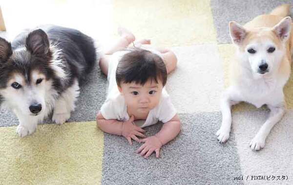 「どこ入れたっけ」「期限切れてた」　ごちゃつく『薬』を使いやすくするコツ【整理のプロ監修】