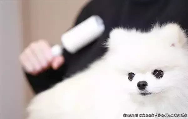 できるだけ毛を取り除いて！　クリーニング店が教える『洗濯機フィルター』の詰まりを防ぐ方法