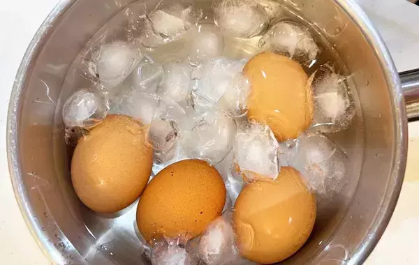 高校生息子「明日の弁当これにして」　味つけ1つの簡単どんぶりが家族に大好評！