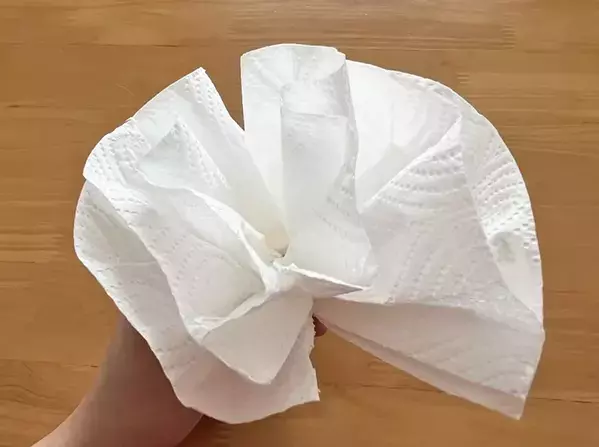 キッチンペーパーの真ん中を『輪ゴム』で留めたら…　できたものが“冬の室内”で活躍！
