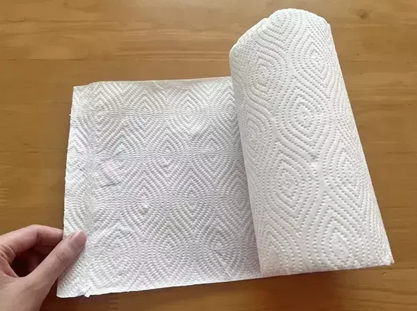 キッチンペーパーの真ん中を『輪ゴム』で留めたら…　できたものが“冬の室内”で活躍！