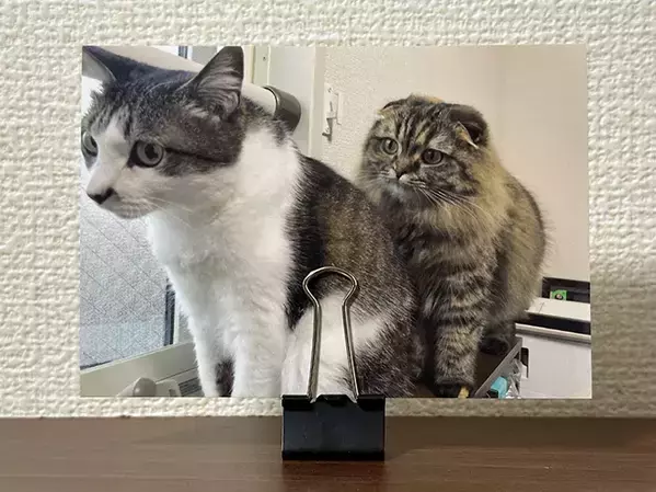 冷蔵庫のドアポケットにダブルクリップを挟んで？　日常生活が少し便利になる活用術