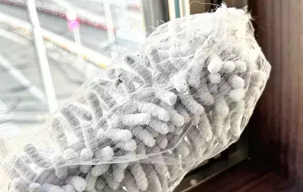 ハンディモップに排水口ネットをかぶせると？　試した結果に「コスパよし」「汚れにくい！」