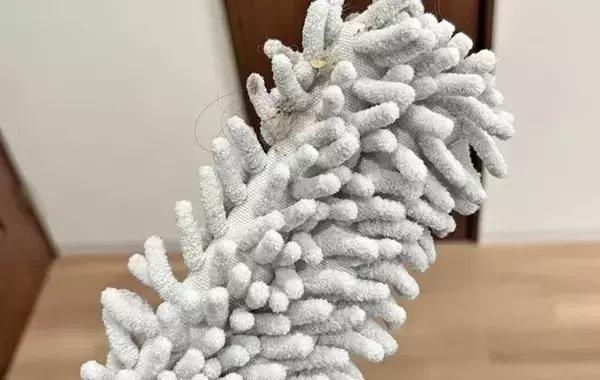 ハンディモップに排水口ネットをかぶせると？　試した結果に「コスパよし」「汚れにくい！」