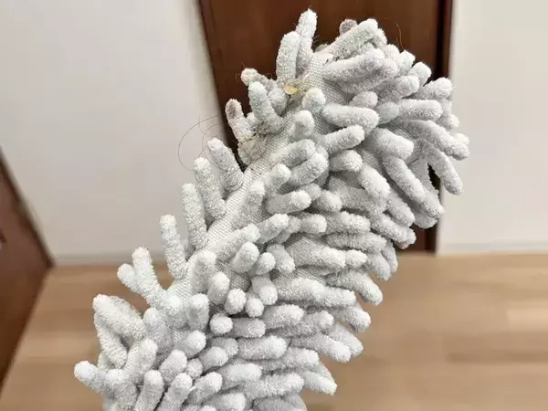 ハンディモップに排水口ネットをかぶせると？　試した結果に「コスパよし」「汚れにくい！」