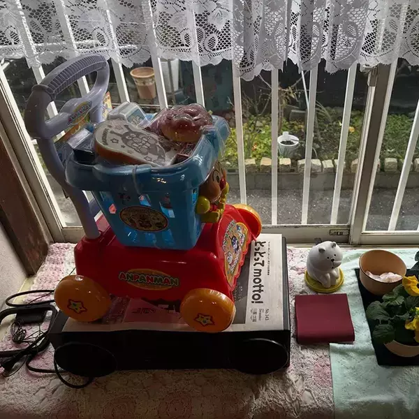 86歳母「お花より可愛か！」　代わりに購入したモノに娘が困惑「何一つ理解できん」