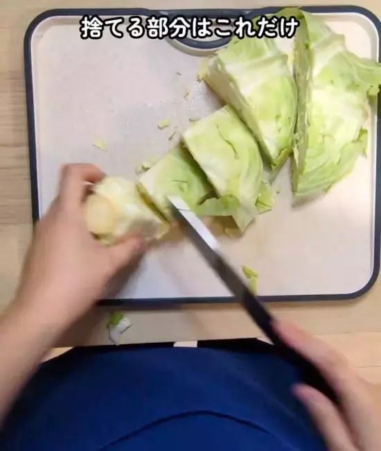 「キャベツは縦に切らないで」　上下半分にするメリットに「理にかなってる」