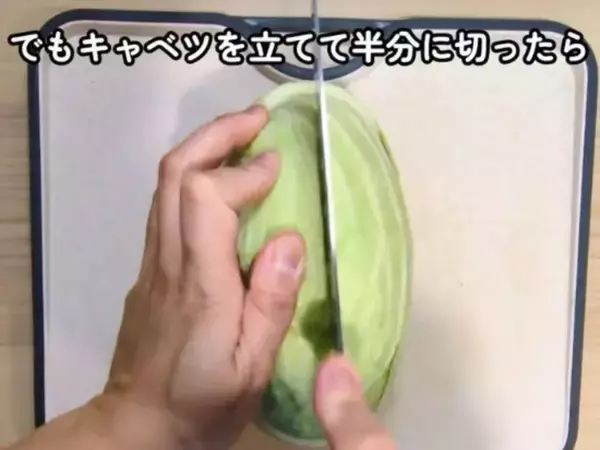 「キャベツは縦に切らないで」　上下半分にするメリットに「理にかなってる」