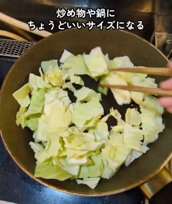 「キャベツは縦に切らないで」　上下半分にするメリットに「理にかなってる」