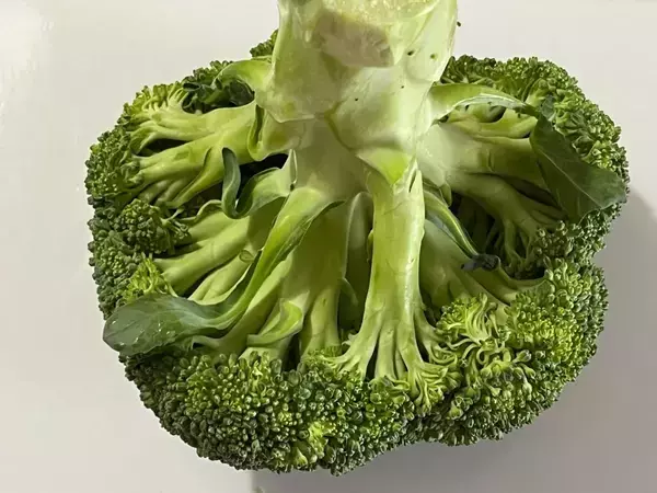 ブロッコリー、洗ったつもりになってない？　5つの正解に「初めて知った…」