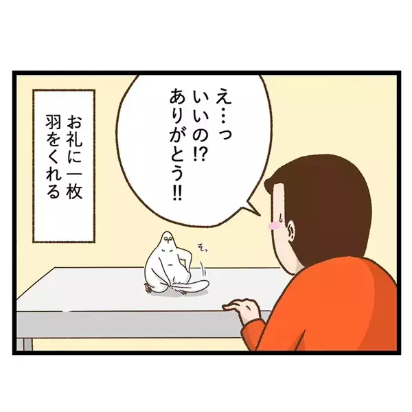 インコからの『プレゼント』　飼い主が大切にする箱の中身が…【エッセイ漫画】