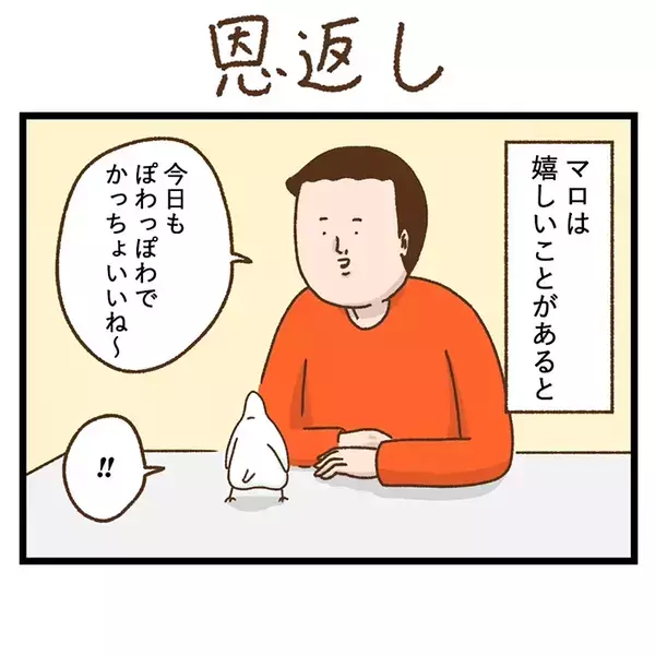 インコからの『プレゼント』　飼い主が大切にする箱の中身が…【エッセイ漫画】