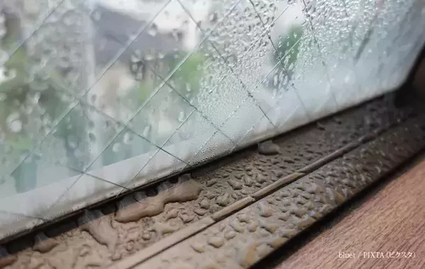 洗濯のプロ「損する干し方です」　部屋干しでやりがちなNG行為とは？