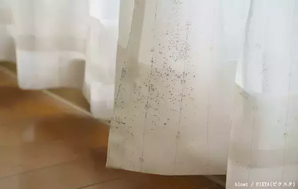 洗濯のプロ「損する干し方です」　部屋干しでやりがちなNG行為とは？