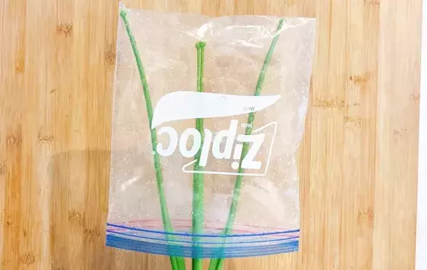 もう捨てない！　『ジップロック』を清潔に再利用する方法に「早く知りたかった」