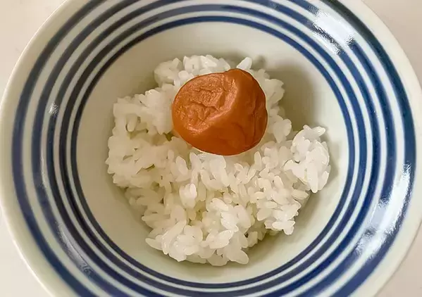 湯でも煎茶でもない！　お茶漬けに使ったものに「こっちのほうが好き」