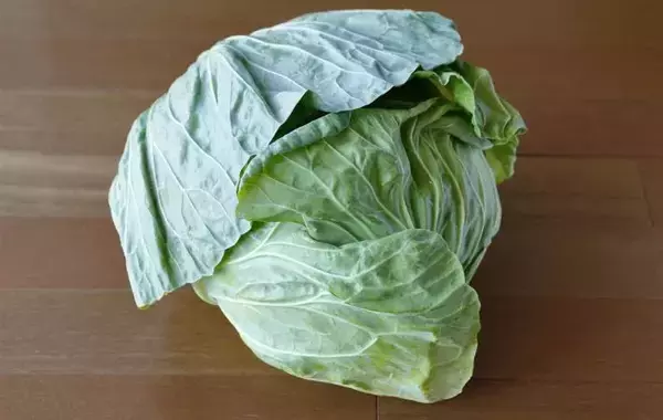 キャベツは縦に切る？上下で分ける？　切り方の正解に「知らなかった」「目からウロコ」【調理テク4選】