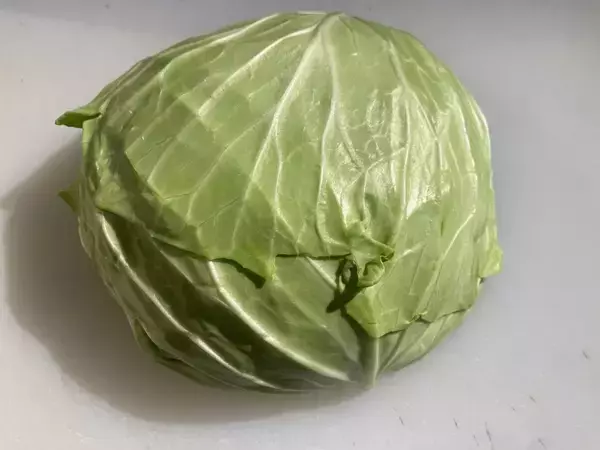 キャベツは縦に切る？上下で分ける？　切り方の正解に「知らなかった」「目からウロコ」【調理テク4選】