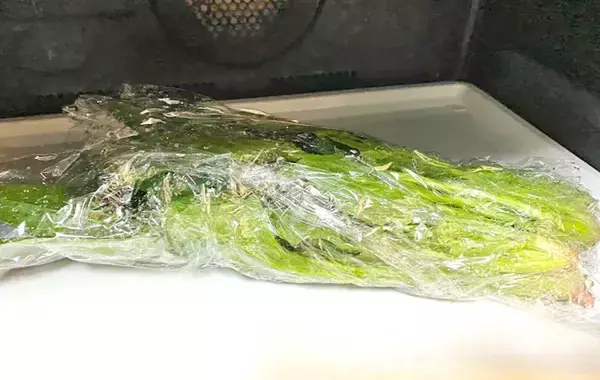 ほうれん草を豪快に！　味の素が紹介するスープレシピに小1息子が「もうないの？」