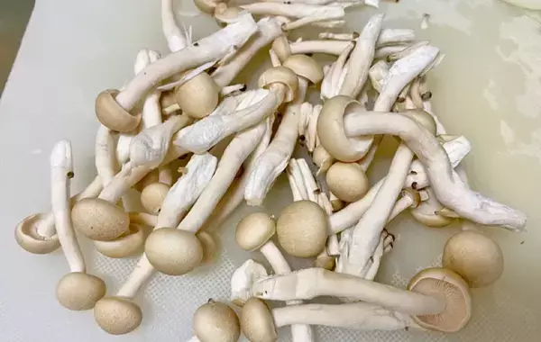 ほうれん草を豪快に！　味の素が紹介するスープレシピに小1息子が「もうないの？」