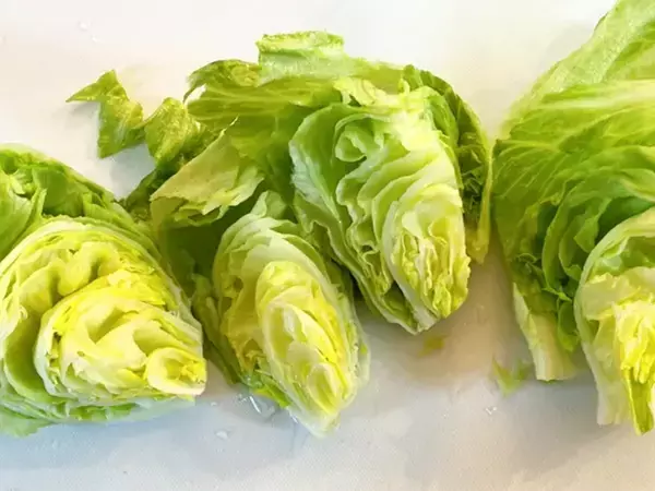 レタスはこう食べる！　電子レンジだけで完成する一品に「我が家の定番になりそう」