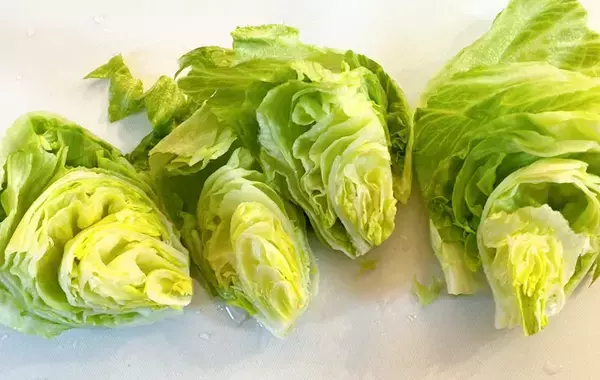 レタスはこう食べる！　電子レンジだけで完成する一品に「我が家の定番になりそう」