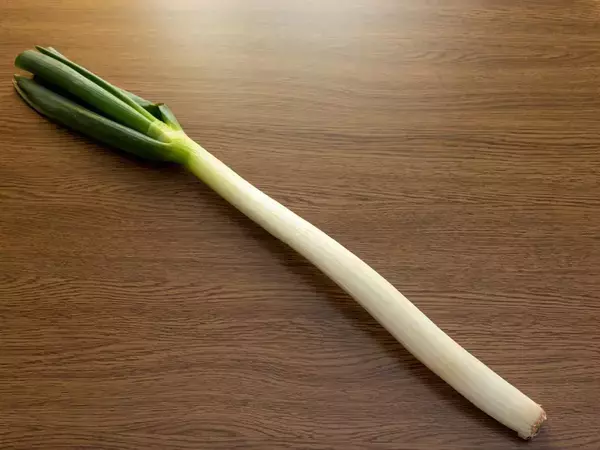 「みじん切りが面倒」なら試して！　切る前のひと手間に「目からウロコ」「天才か」【料理テク4選】