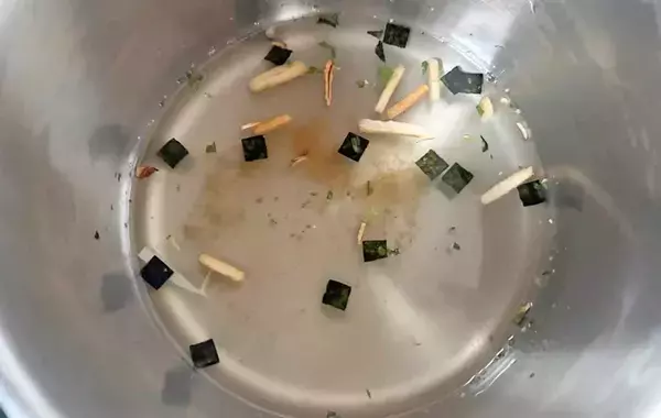 お吸い物の素はこう使う！　お湯を入れるだけじゃない食べ方に「これだけで味が決まる」