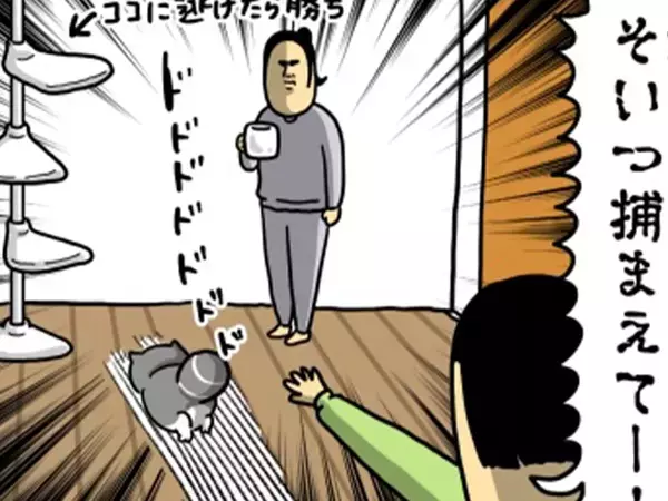 飼い主「そいつ捕まえてー！」　愛猫の表情に「爆笑」「光がなくなってる…」