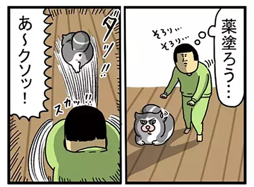 飼い主「そいつ捕まえてー！」　愛猫の表情に「爆笑」「光がなくなってる…」