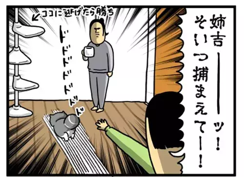 飼い主「そいつ捕まえてー！」　愛猫の表情に「爆笑」「光がなくなってる…」