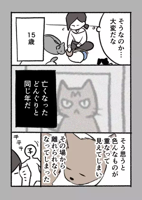 「涙が出た」「尊敬しかない…」　体が不自由な高齢猫を引き取った深いワケとは？