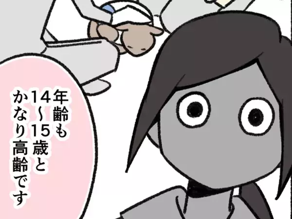 「涙が出た」「尊敬しかない…」　体が不自由な高齢猫を引き取った深いワケとは？