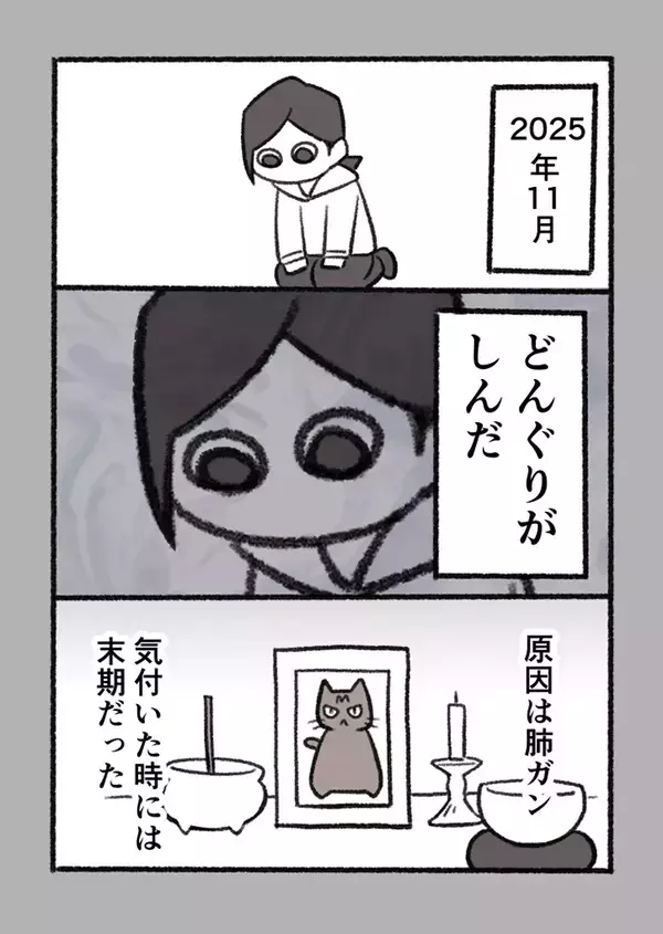 「涙が出た」「尊敬しかない…」　体が不自由な高齢猫を引き取った深いワケとは？