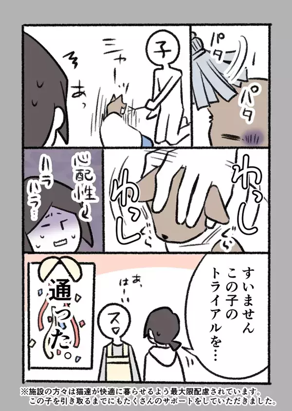 「涙が出た」「尊敬しかない…」　体が不自由な高齢猫を引き取った深いワケとは？