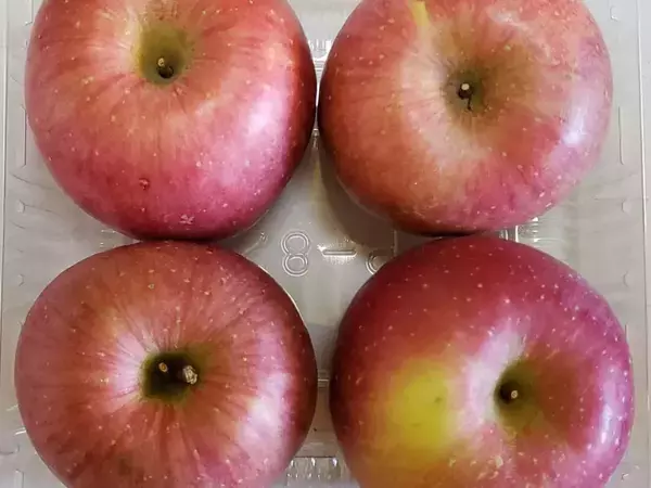 フライパンに並べて…　リンゴの食べ方に「その手があったか」「甘みが増した」【アレンジおやつ4選】