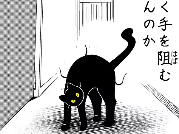 飼い主「日を追うごとに強くなってる」　愛猫の行動に「覚醒しすぎていて笑った」
